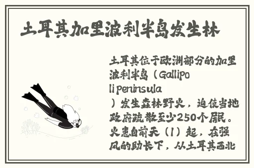 亚欧乱码卡一卡二卡新